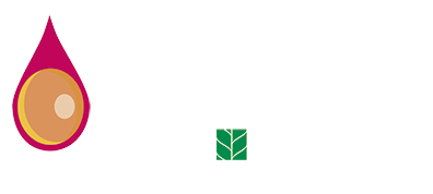 Extreme by provedo